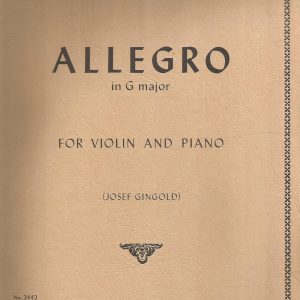 Allegro Spanbak Back Support